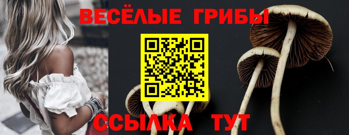 Галлюциногенные грибы Cubensis Курганинск
